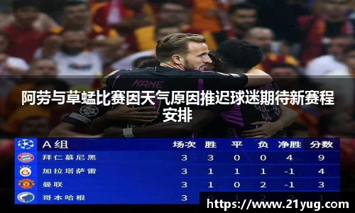 阿劳与草蜢比赛因天气原因推迟球迷期待新赛程安排